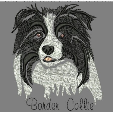 ANA BORDER COLLIE COLORWASH