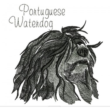 ANA PORTUGUESE WATERDOG COLORWASH