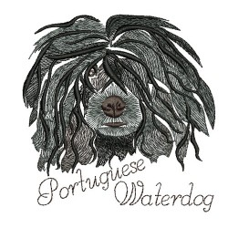 ANA PORTUGUESE WATERDOG COLORWASH 2