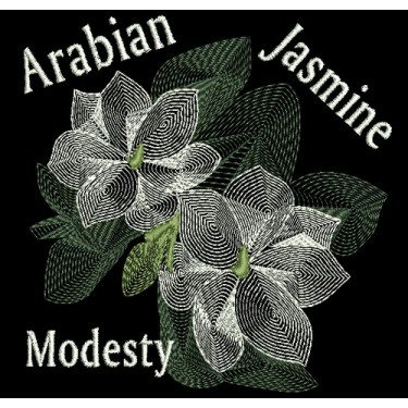 ARABIAN JASMINE