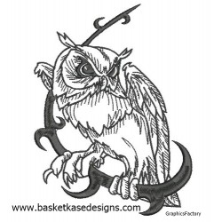 B W OWL 1