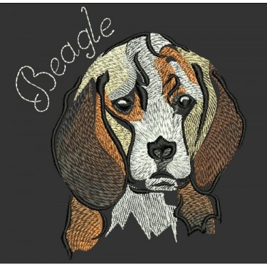 BEAGLE COLORWASH