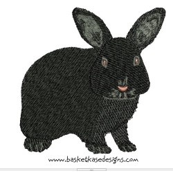 BLACK BUNNY