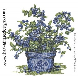 BLUEBERRY 5