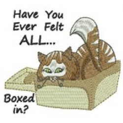 BOXED IN CAT