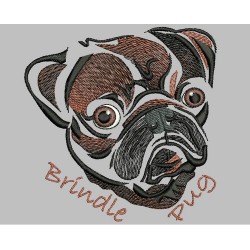 BRINDLE PUG COLORWASH