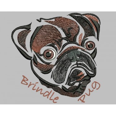 BRINDLE PUG COLORWASH