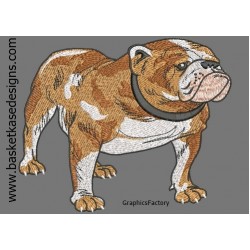 BULLY 5