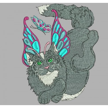 BUTTERFLY CAT