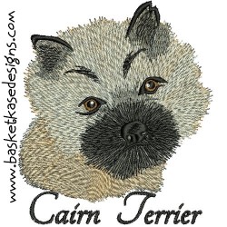 CAIRN TERRIER