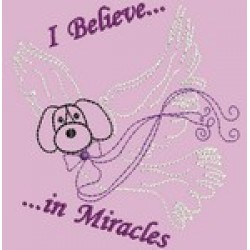 CAROLYNS MIRACLE