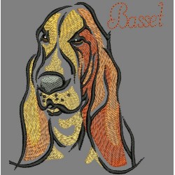 COLORWASH BASSET