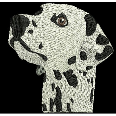 DALMATIAN