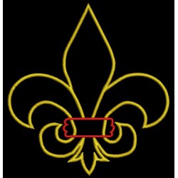 FLEUR DE LIS APPL