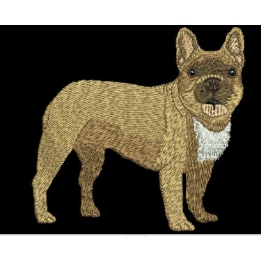 FRENCH BULLDOG