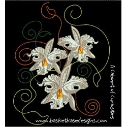 IRIS BONANZA