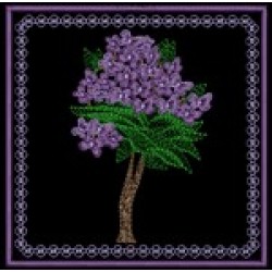 LILAC COASTER