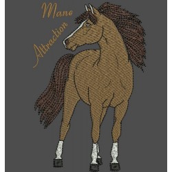 MANE ATTRACTION