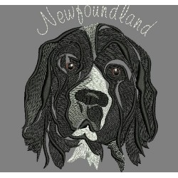 NEW FOUNDLAND COLORWASH