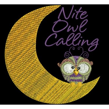 NITE OWL 2