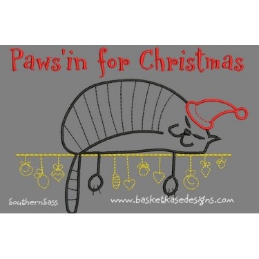 PAWSIN