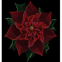 POINSETTIA