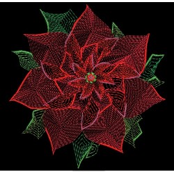 POINSETTIA 2
