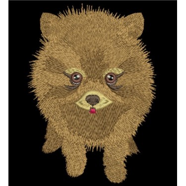 POM PUP