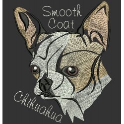 SMOOTH COAT CHIHUAHUA COLORWASH