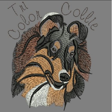 TRI COLOR COLLIE COLORWASH