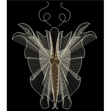WINGS OF BEAUTY 6